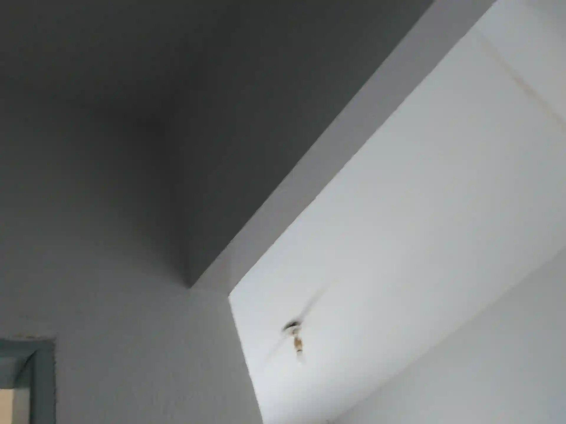 Casa com 2 quartos à venda, 390m² — foto 25 de 25