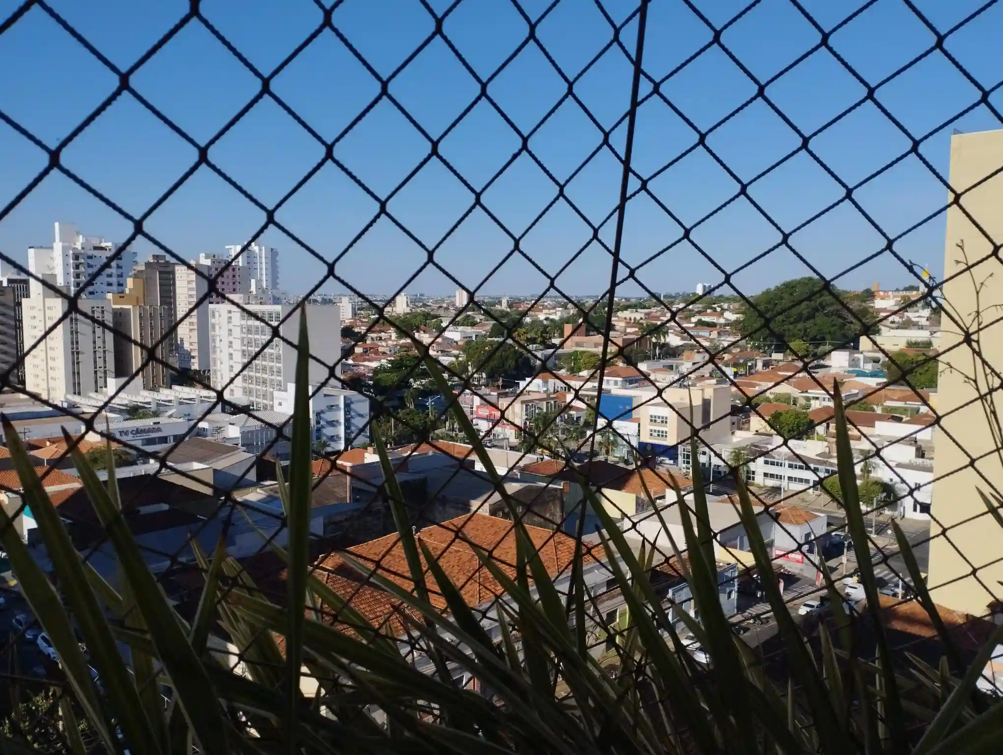 Apartamento com 3 quartos à venda, 216m² — foto 5 de 44