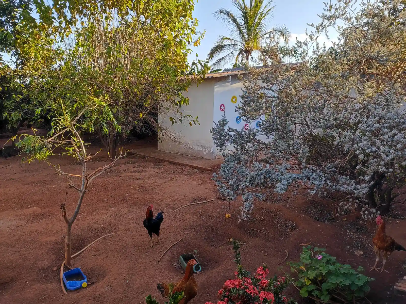 Fazenda / Sítio / Chácara com 2 quartos à venda, 1000m² — foto 15 de 16