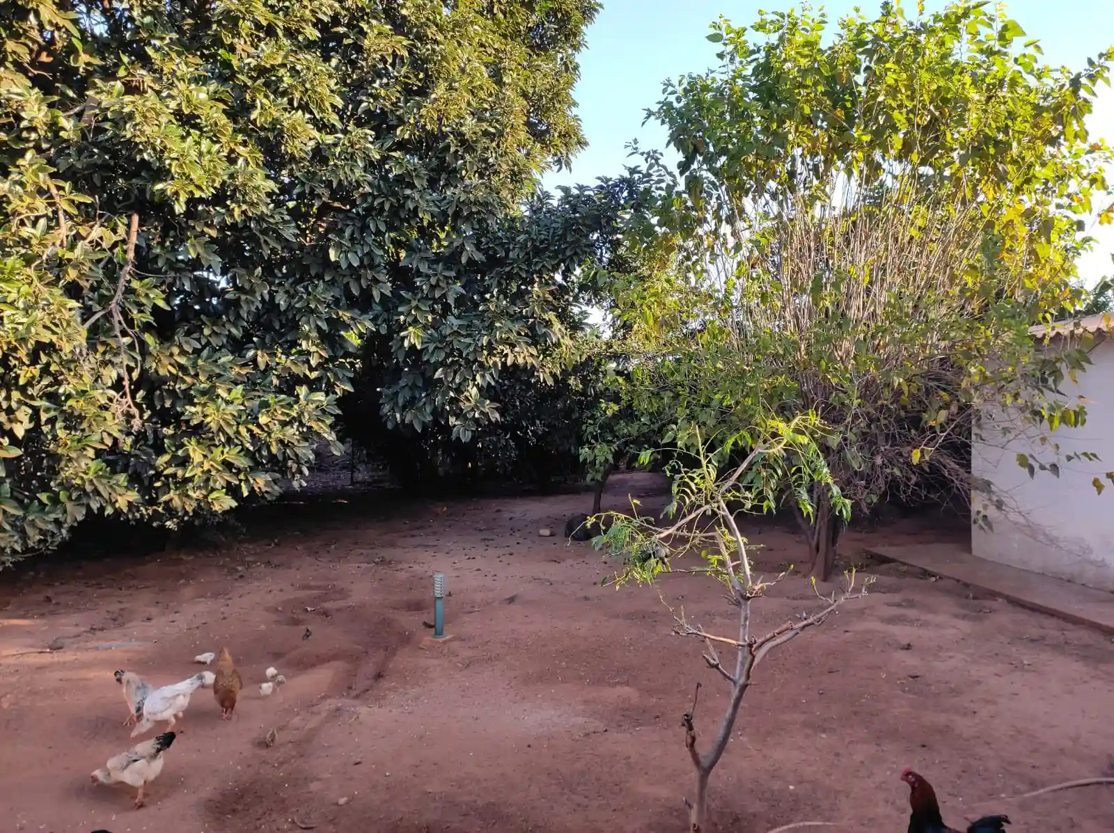 Fazenda / Sítio / Chácara com 2 quartos à venda, 1000m² — foto 16 de 16