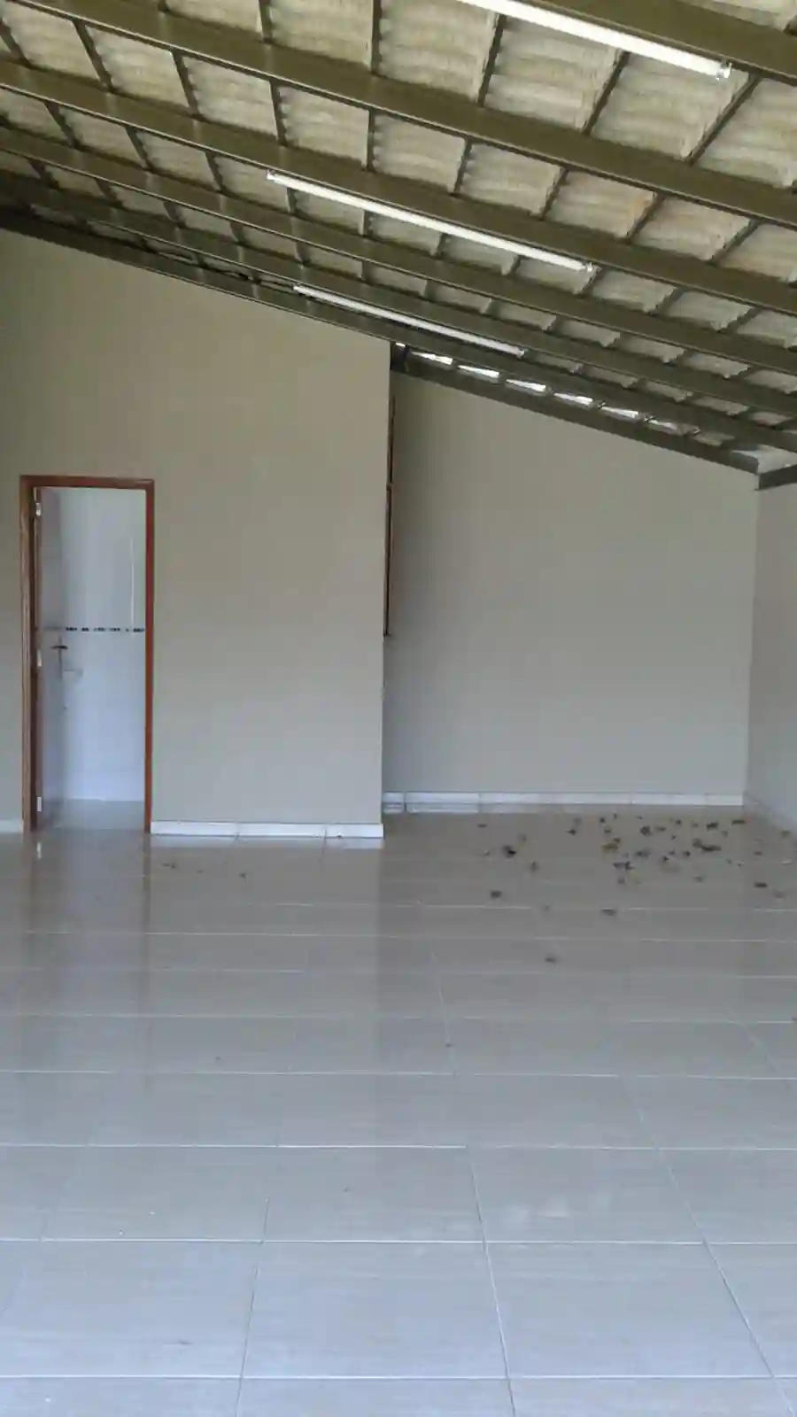 Fazenda / Sítio / Chácara com 2 quartos à venda, 1000m² — foto 11 de 16