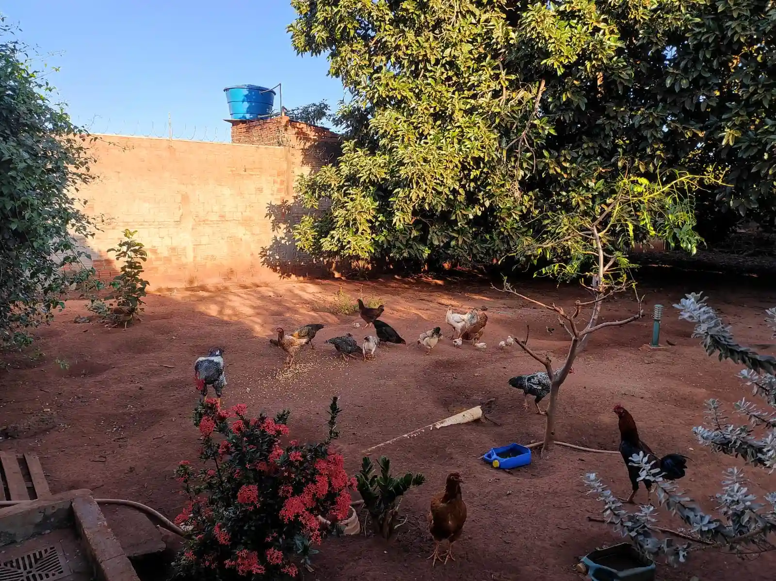 Fazenda / Sítio / Chácara com 2 quartos à venda, 1000m² — foto 14 de 16
