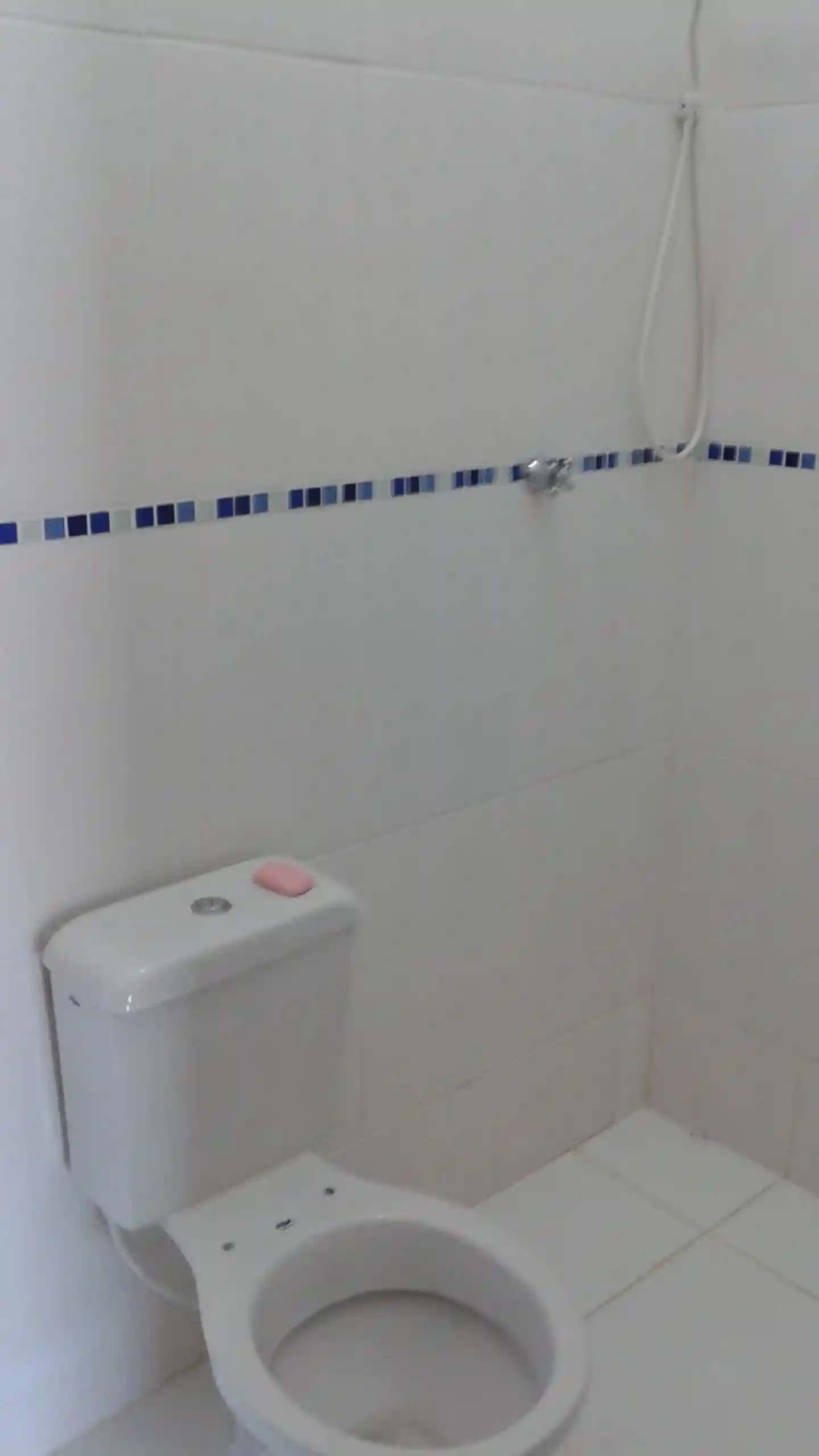 Fazenda / Sítio / Chácara com 2 quartos à venda, 1000m² — foto 9 de 16