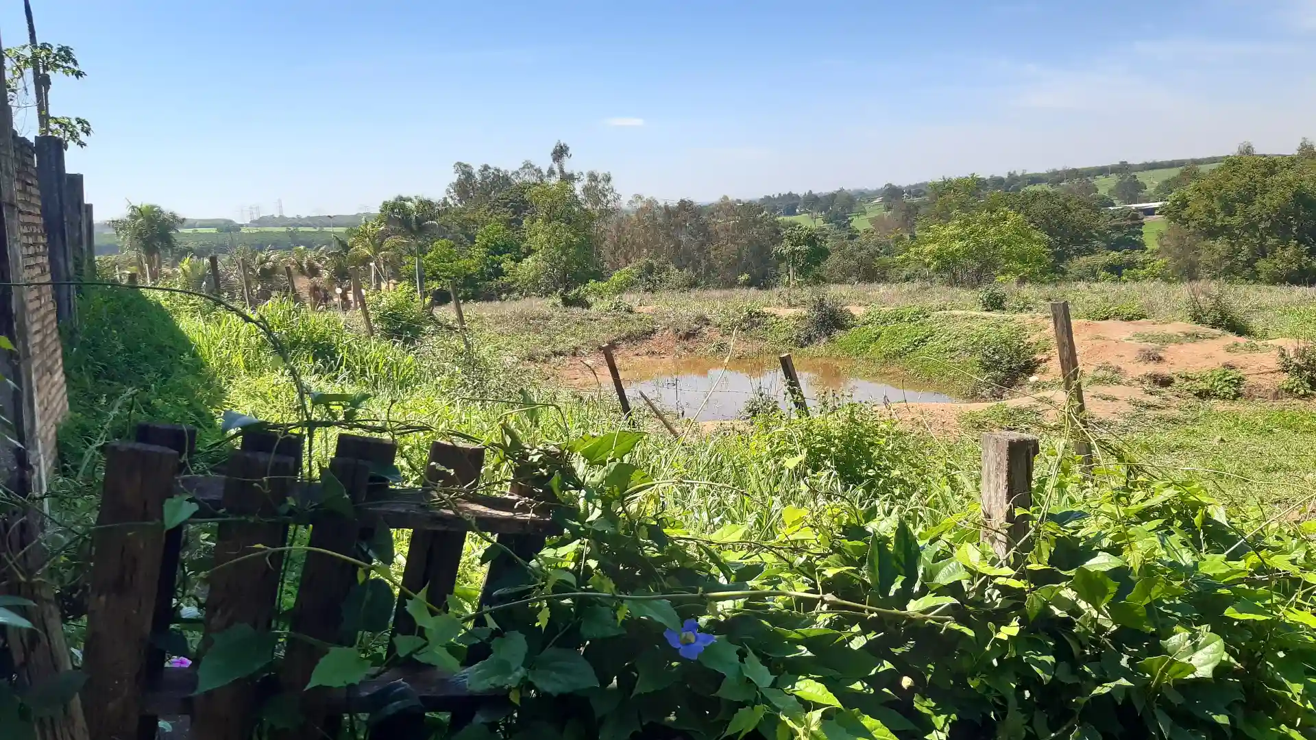 Fazenda / Sítio / Chácara com 3 quartos à venda, 24200m² — foto 16 de 20