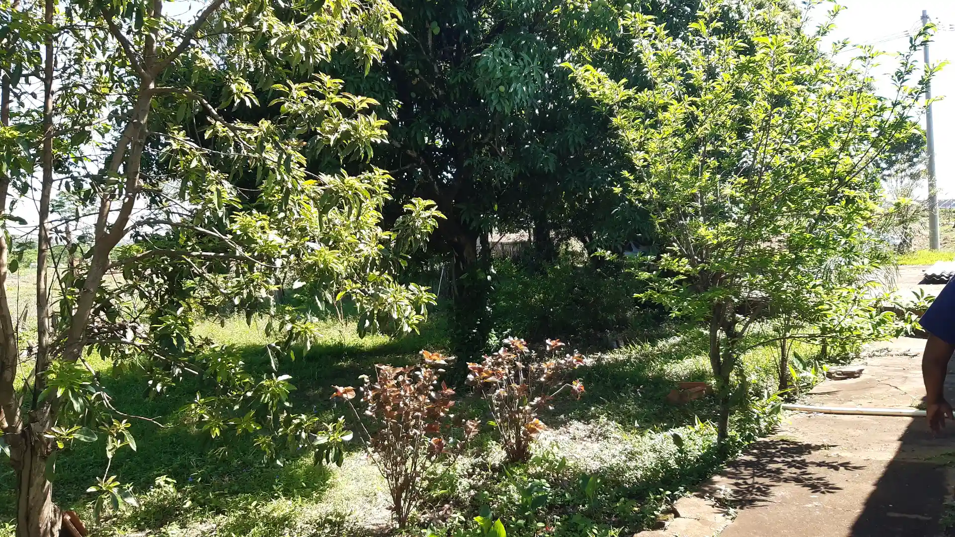 Fazenda / Sítio / Chácara com 3 quartos à venda, 24200m² — foto 15 de 20