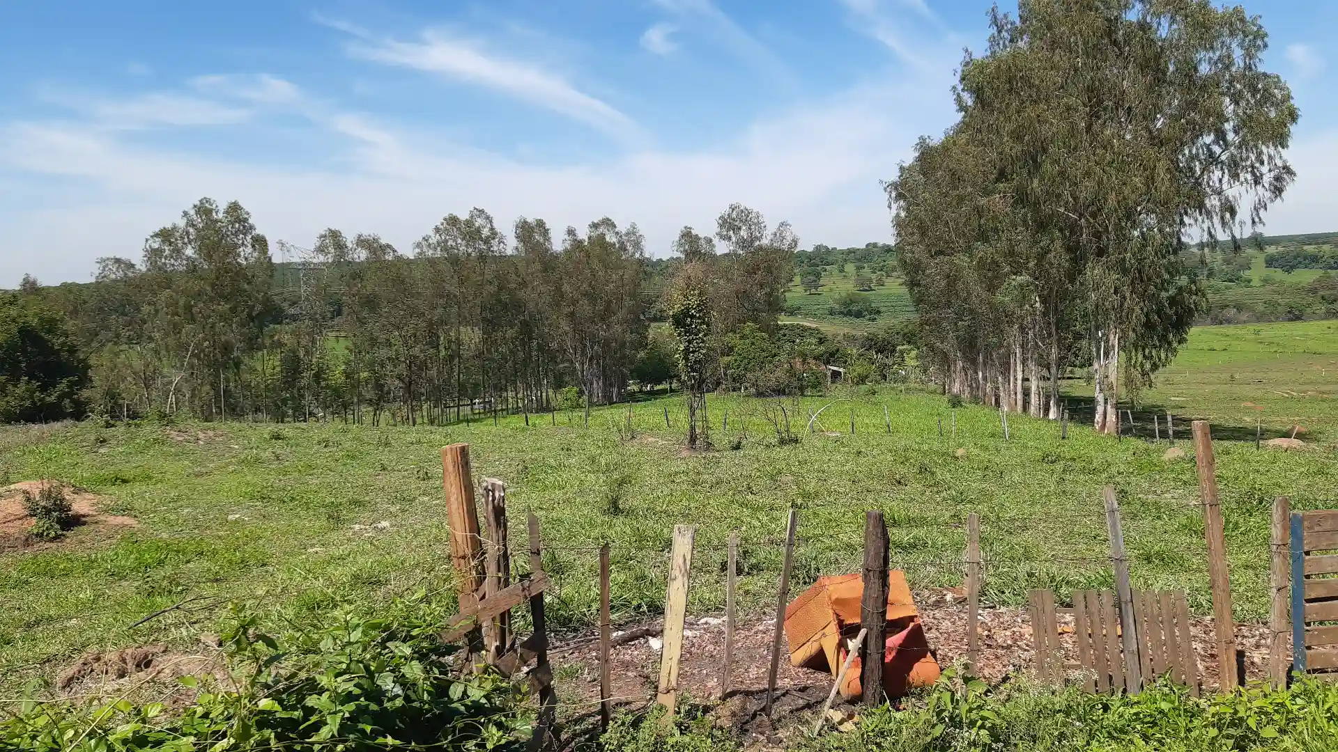 Fazenda / Sítio / Chácara com 3 quartos à venda, 24200m² — foto 14 de 20