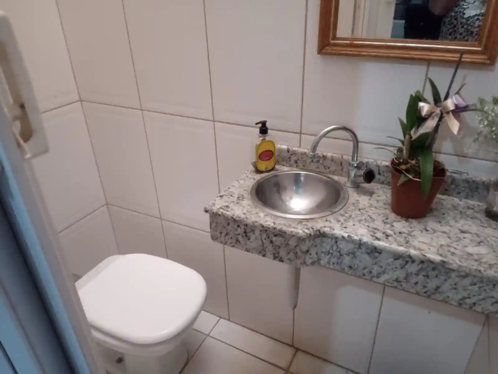 Fazenda / Sítio / Chácara com 3 quartos à venda, 1550m² — foto 8 de 10
