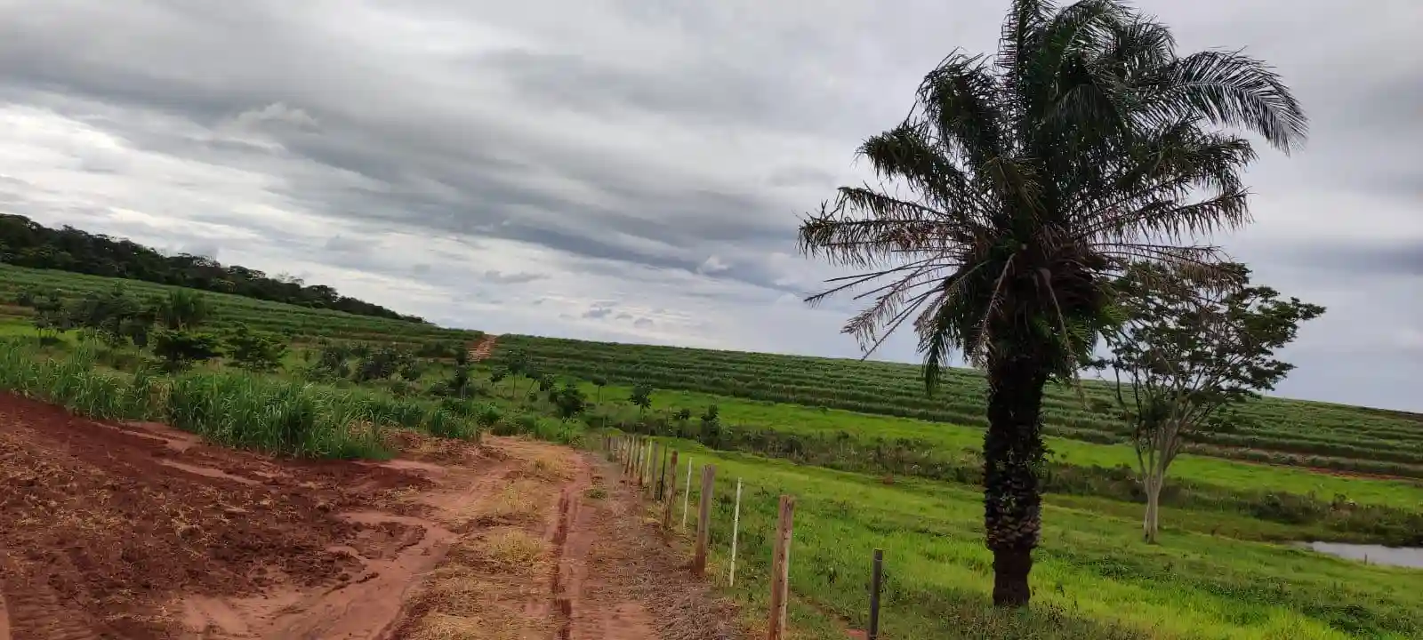 Fazenda / Sítio / Chácara  à venda, 960000m² — foto 4 de 8