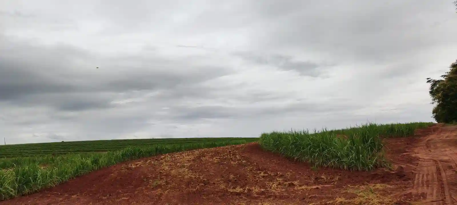 Fazenda / Sítio / Chácara  à venda, 960000m² — foto 1 de 8