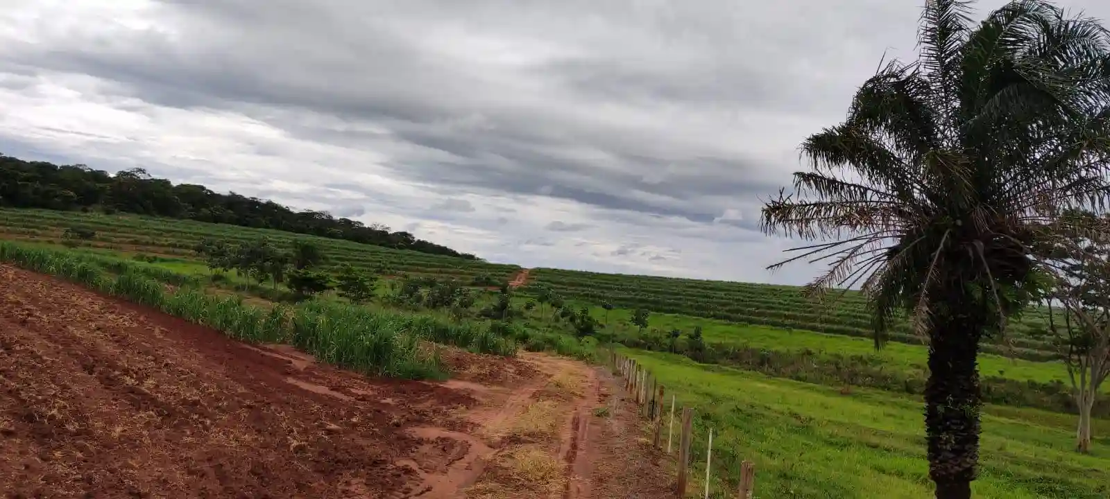 Fazenda / Sítio / Chácara  à venda, 960000m² — foto 3 de 8