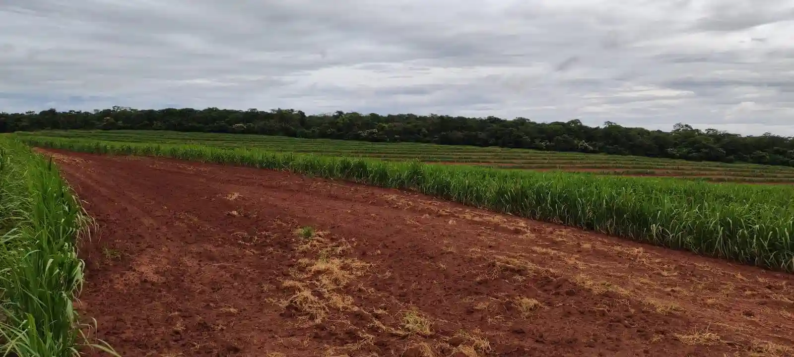 Fazenda / Sítio / Chácara  à venda, 960000m² — foto 8 de 8