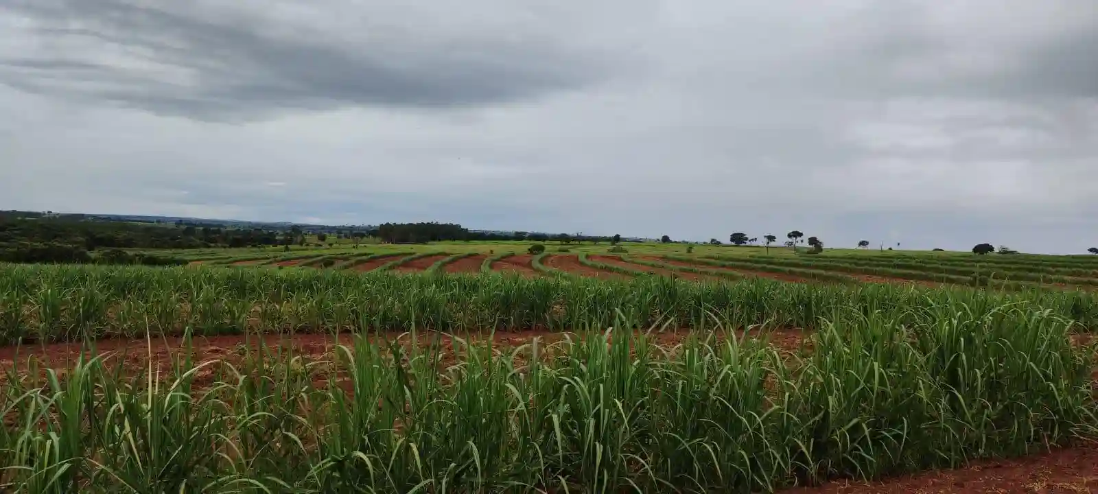 Fazenda / Sítio / Chácara  à venda, 960000m² — foto 7 de 8
