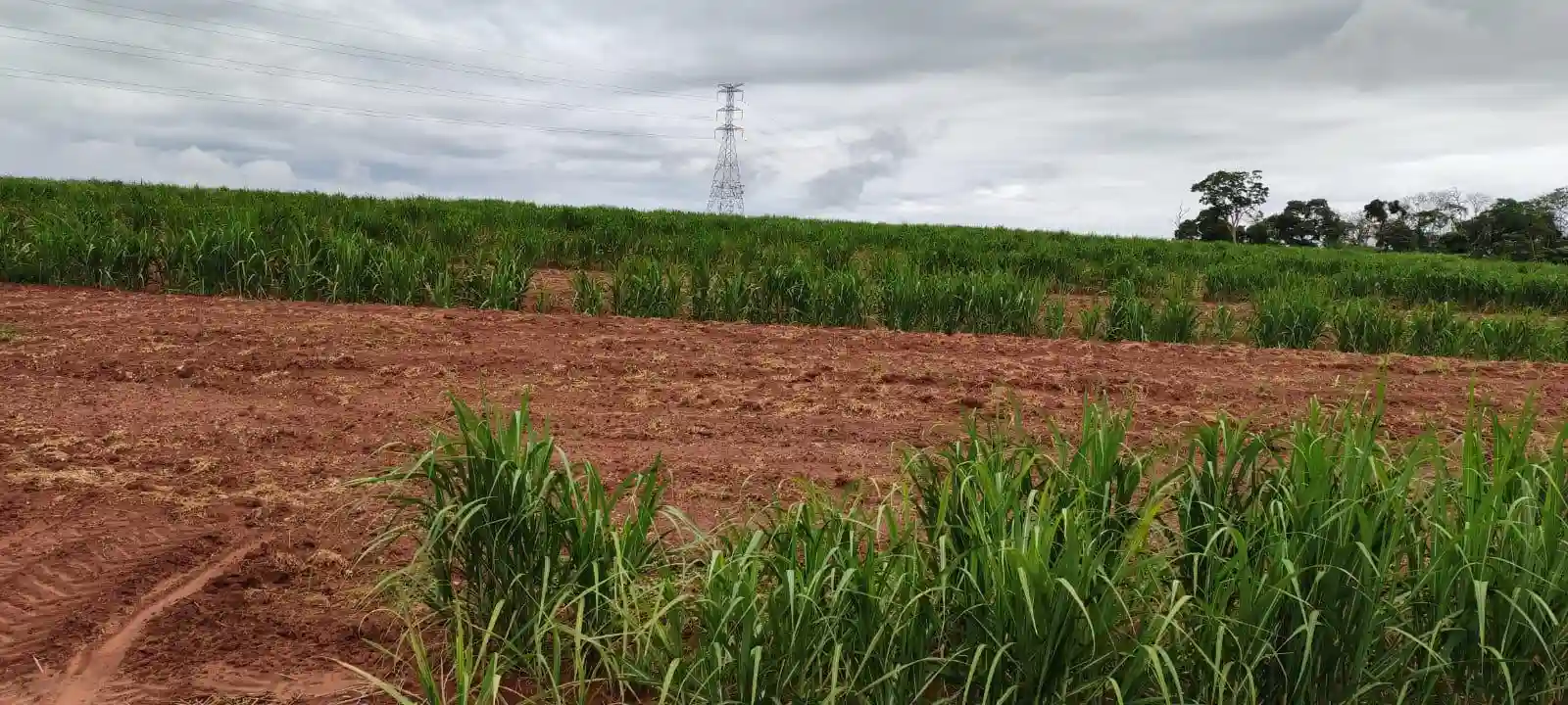 Fazenda / Sítio / Chácara  à venda, 960000m² — foto 2 de 8