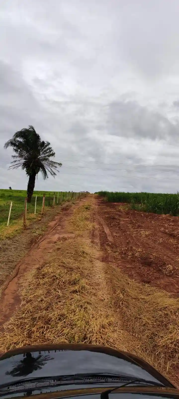 Fazenda / Sítio / Chácara  à venda, 960000m² — foto 5 de 8