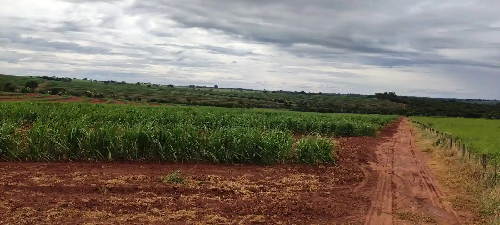 Fazenda / Sítio / Chácara  à venda, 960000m² — foto 6 de 8