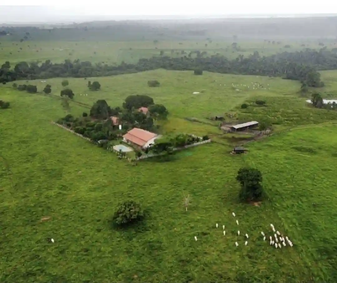 Fazenda / Sítio / Chácara com 3 quartos à venda, 508m² — foto 3 de 6