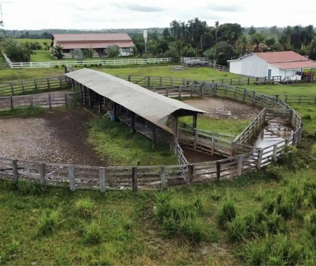 Fazenda / Sítio / Chácara com 3 quartos à venda, 508m² — foto 1 de 6