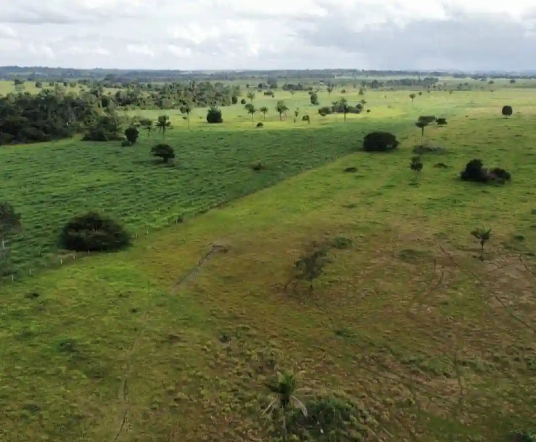 Fazenda / Sítio / Chácara com 3 quartos à venda, 508m² — foto 6 de 6