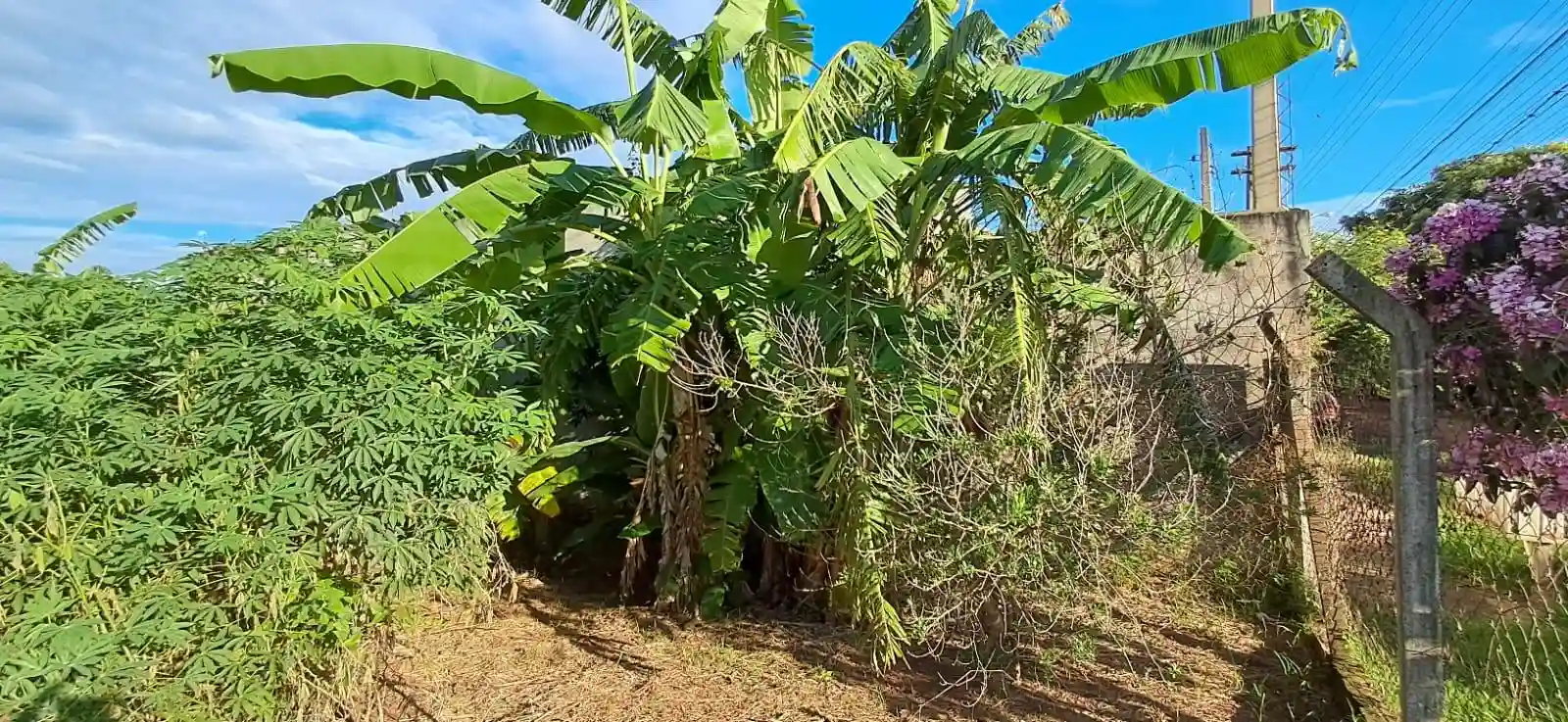 Fazenda / Sítio / Chácara  à venda, 1020m² — foto 23 de 29