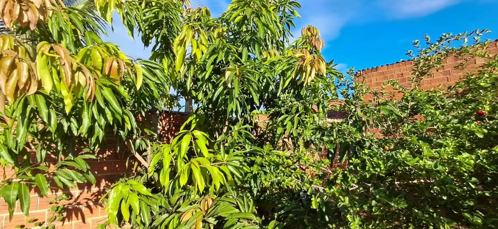 Fazenda / Sítio / Chácara  à venda, 1020m² — foto 18 de 29