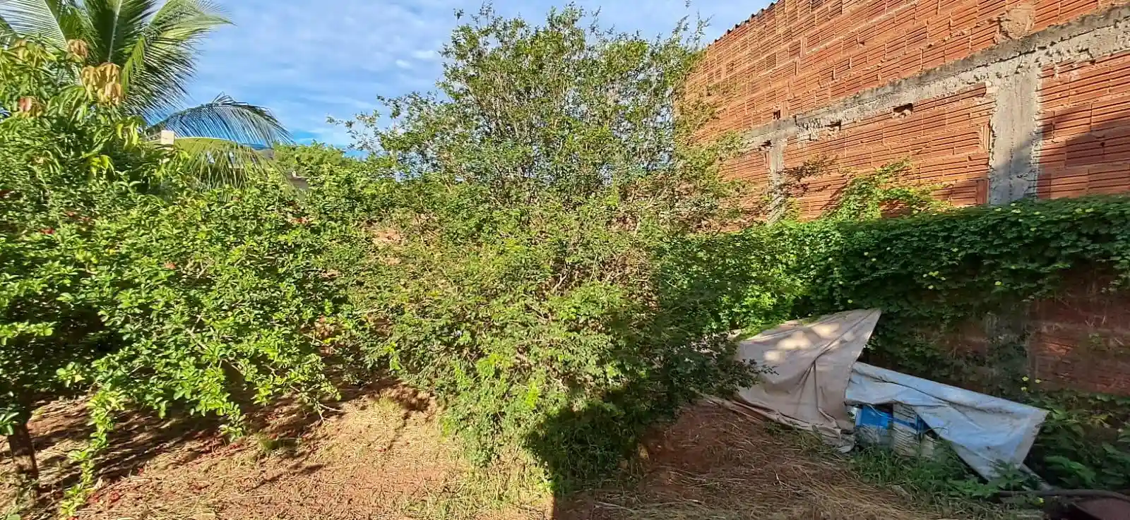 Fazenda / Sítio / Chácara  à venda, 1020m² — foto 20 de 29