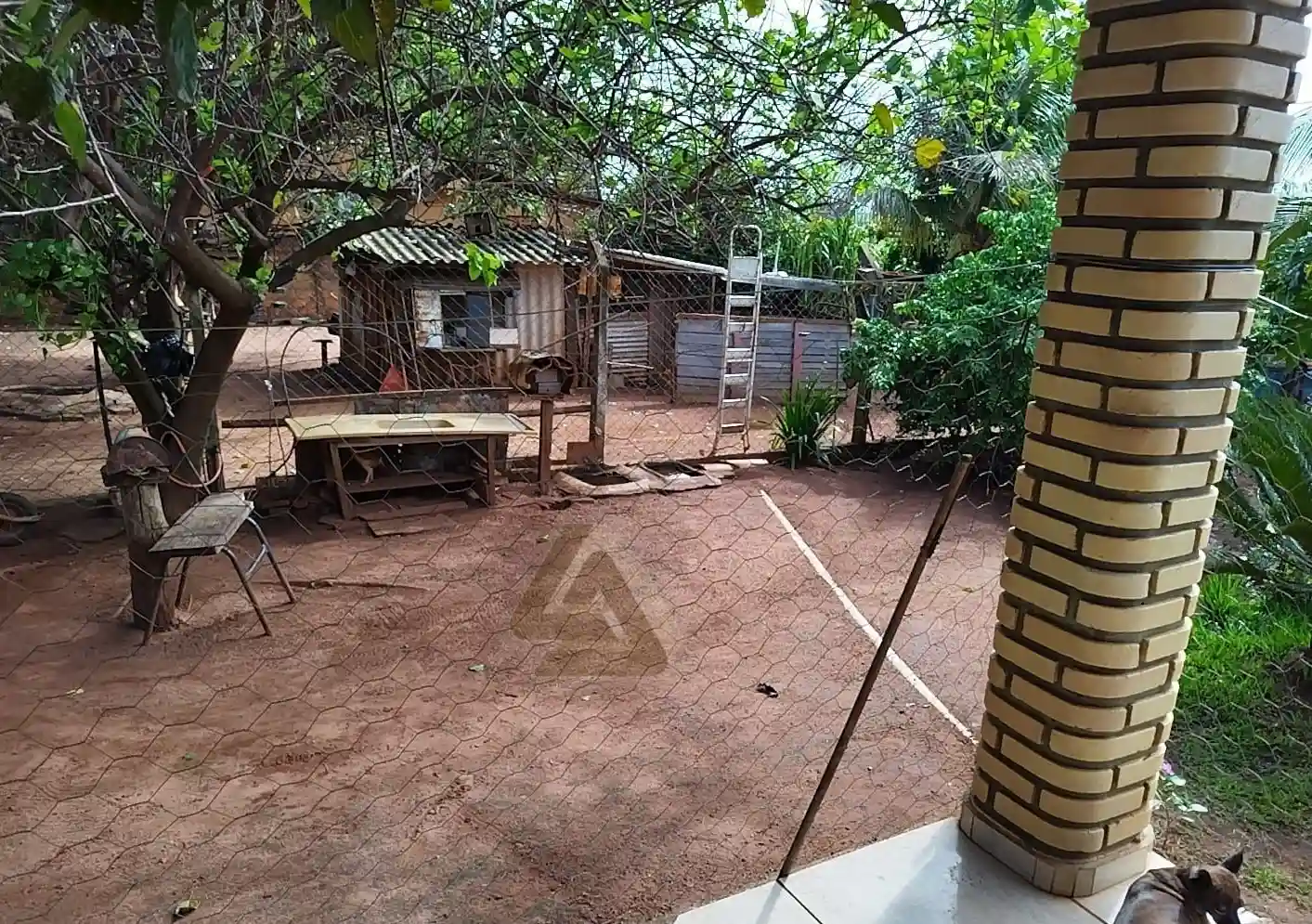 Fazenda / Sítio / Chácara com 2 quartos à venda, 2000m² — foto 6 de 16