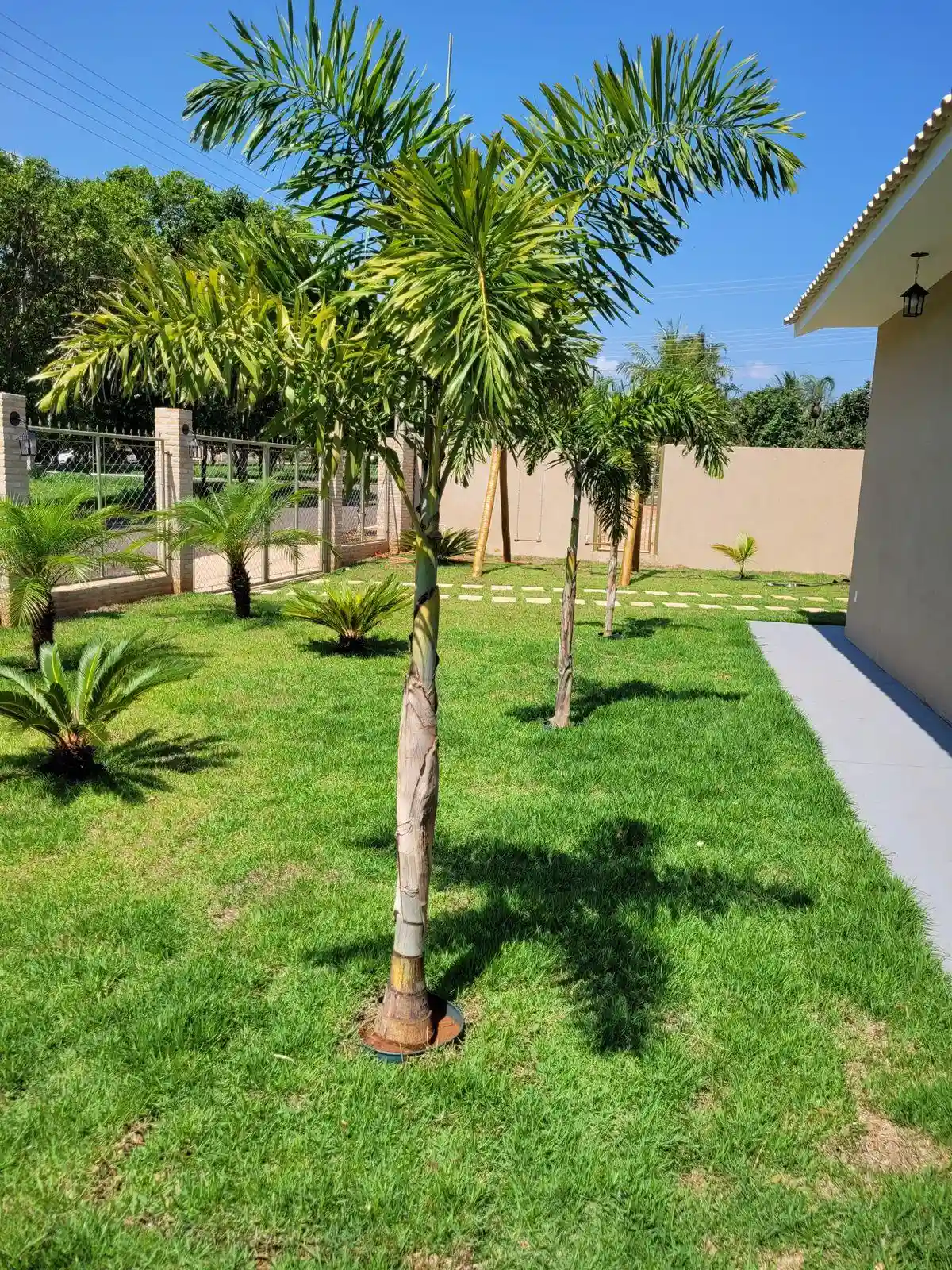 Fazenda / Sítio / Chácara com 3 quartos à venda, 1100m² — foto 4 de 15