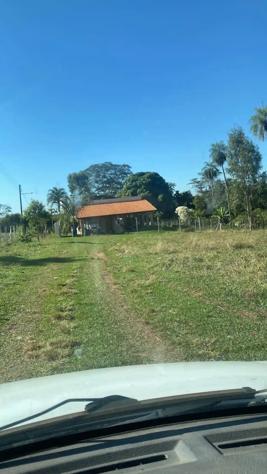 Fazenda / Sítio / Chácara  à venda, 60m² — foto 6 de 11
