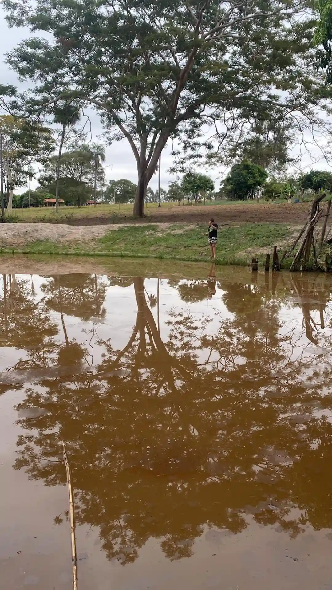 Fazenda / Sítio / Chácara  à venda, 60m² — foto 8 de 11