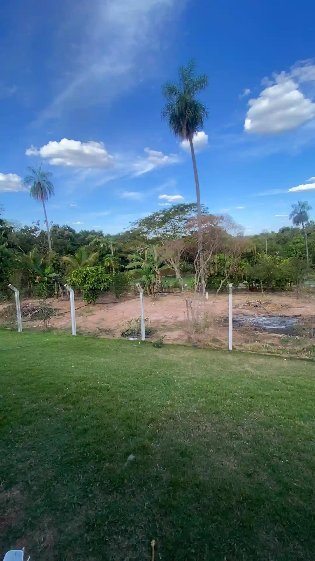 Fazenda / Sítio / Chácara  à venda, 60m² — foto 4 de 11