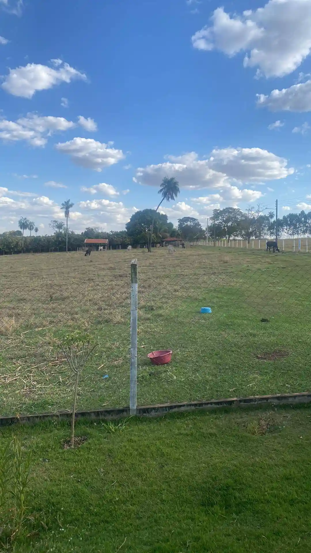 Fazenda / Sítio / Chácara  à venda, 60m² — foto 10 de 11
