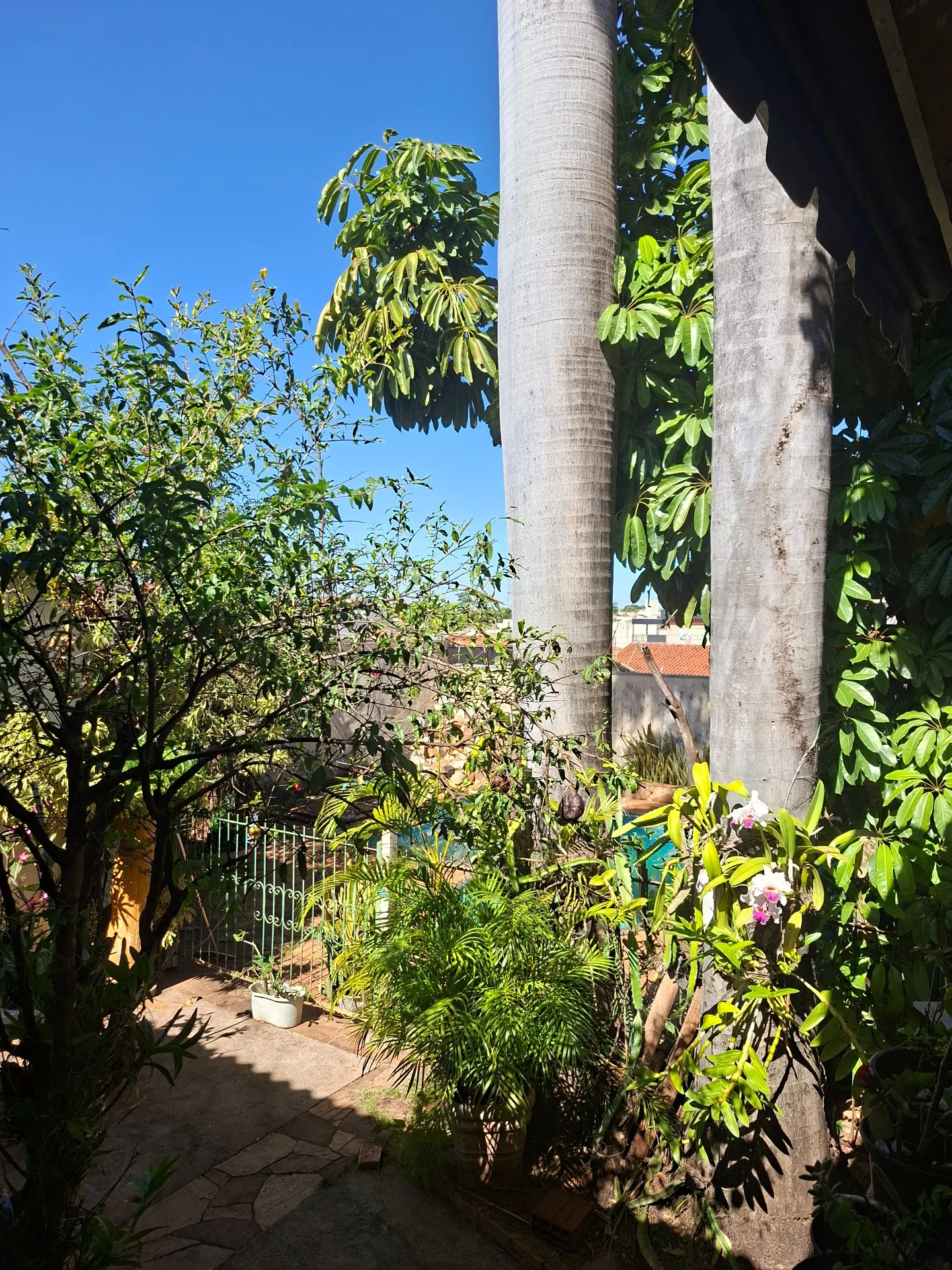 Casa com 3 quartos à venda, 220m² — foto 25 de 40