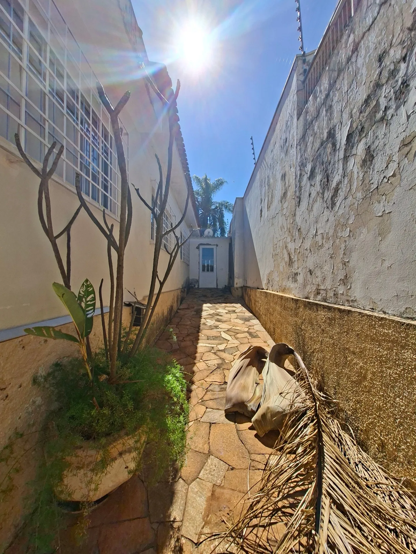 Casa com 3 quartos à venda, 220m² — foto 33 de 40