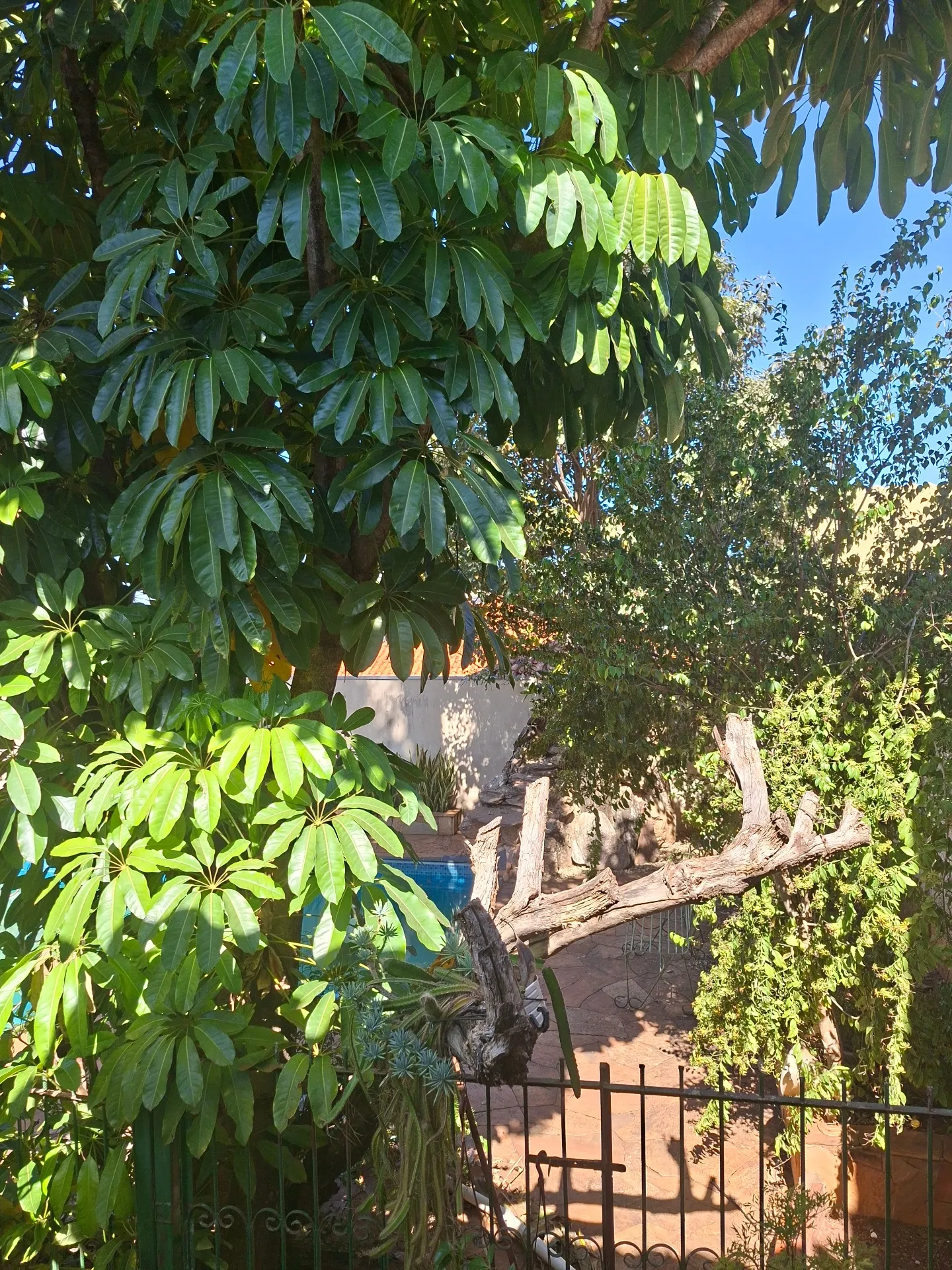 Casa com 3 quartos à venda, 220m² — foto 24 de 40