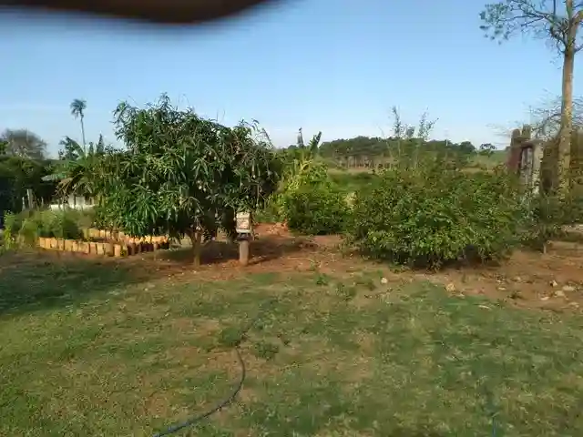 Fazenda / Sítio / Chácara com 3 quartos à venda, 36m² — foto 8 de 21