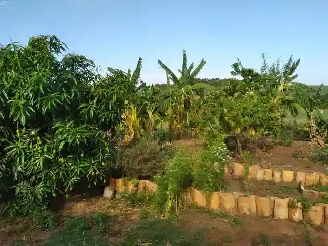 Fazenda / Sítio / Chácara com 3 quartos à venda, 36m² — foto 20 de 21