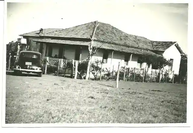 Fazenda / Sítio / Chácara com 3 quartos à venda, 36m² — foto 5 de 21