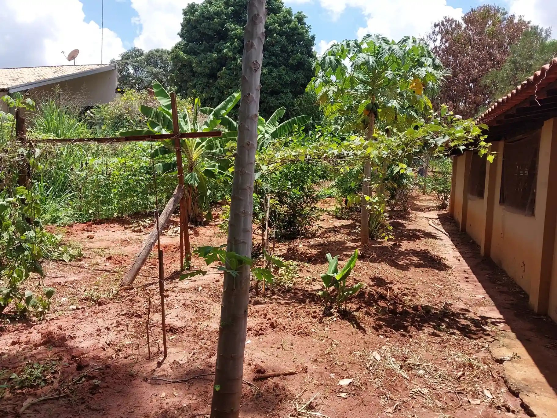 Fazenda / Sítio / Chácara com 3 quartos à venda, 1500m² — foto 11 de 29
