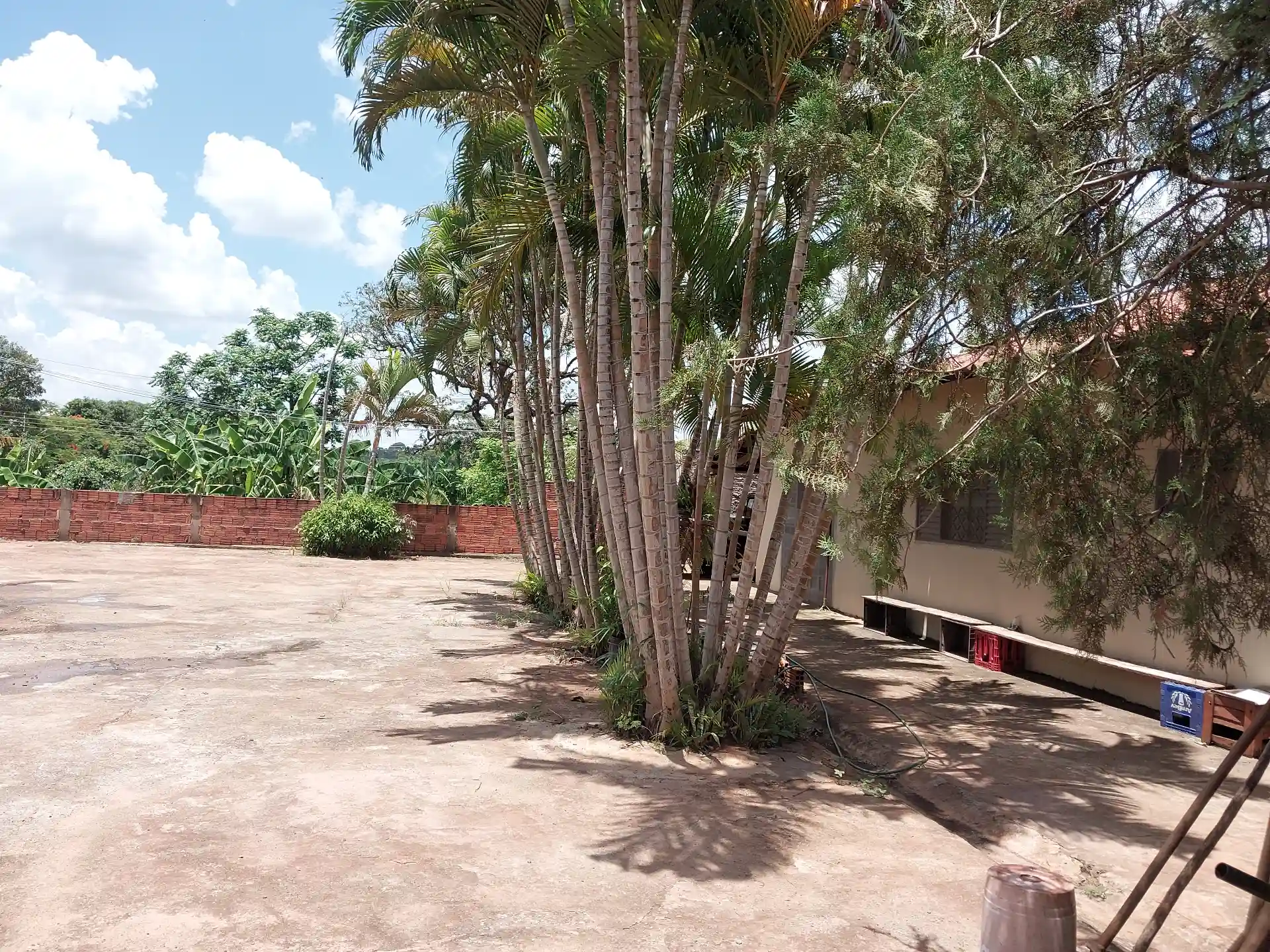 Fazenda / Sítio / Chácara com 3 quartos à venda, 1500m² — foto 9 de 29