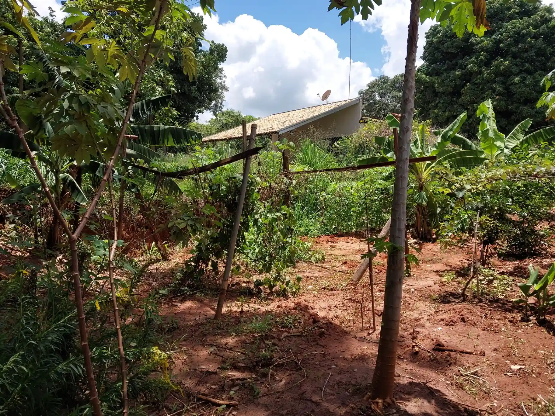Fazenda / Sítio / Chácara com 3 quartos à venda, 1500m² — foto 15 de 29