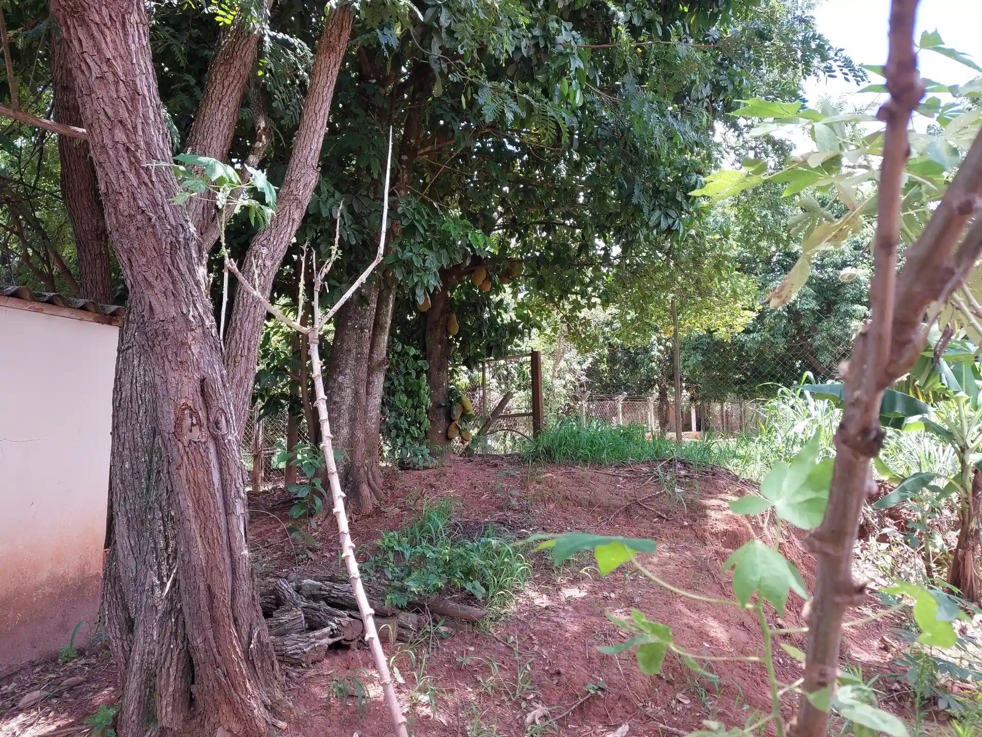 Fazenda / Sítio / Chácara com 3 quartos à venda, 1500m² — foto 16 de 29