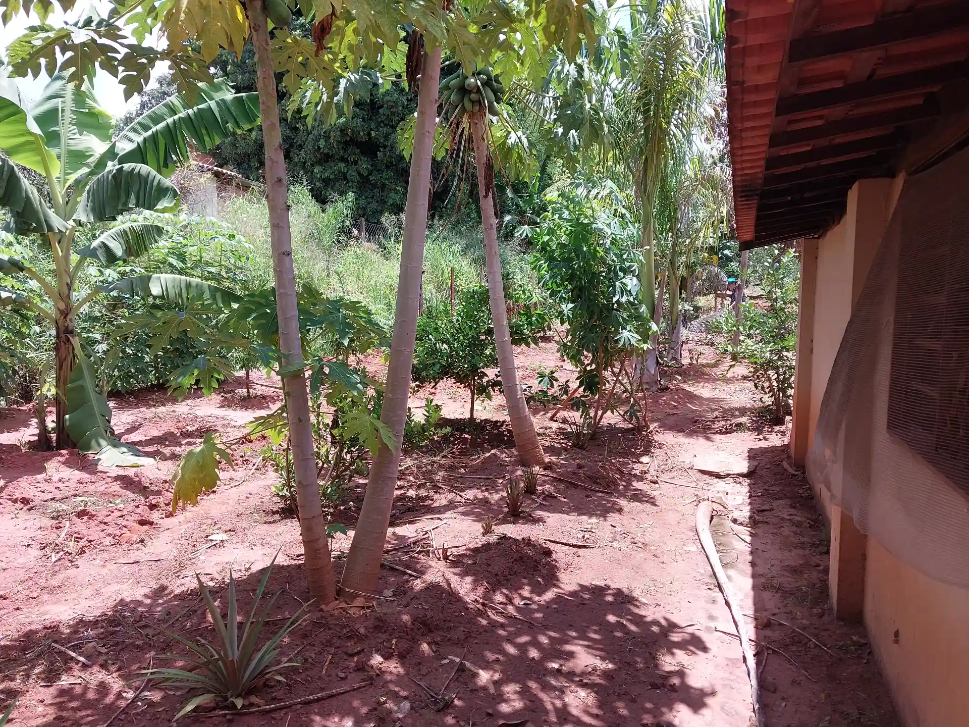 Fazenda / Sítio / Chácara com 3 quartos à venda, 1500m² — foto 12 de 29