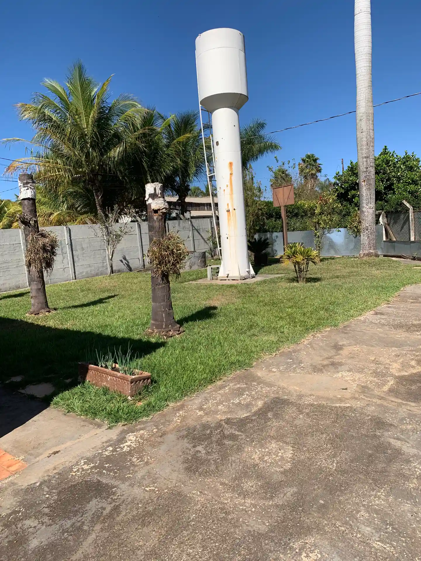 Fazenda / Sítio / Chácara com 3 quartos à venda, 5972m² — foto 3 de 5