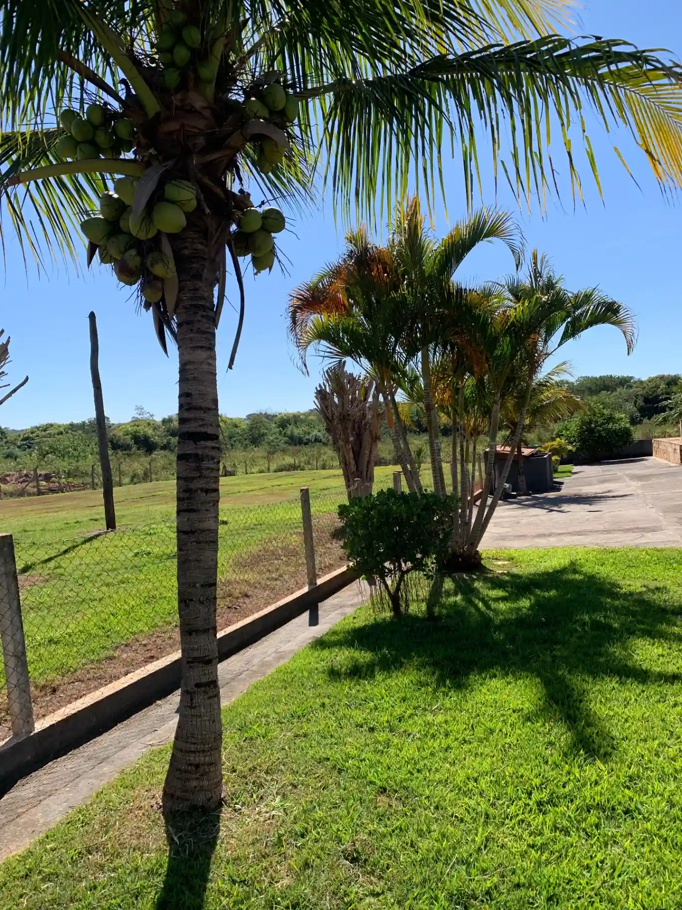 Fazenda / Sítio / Chácara com 3 quartos à venda, 5972m² — foto 5 de 5