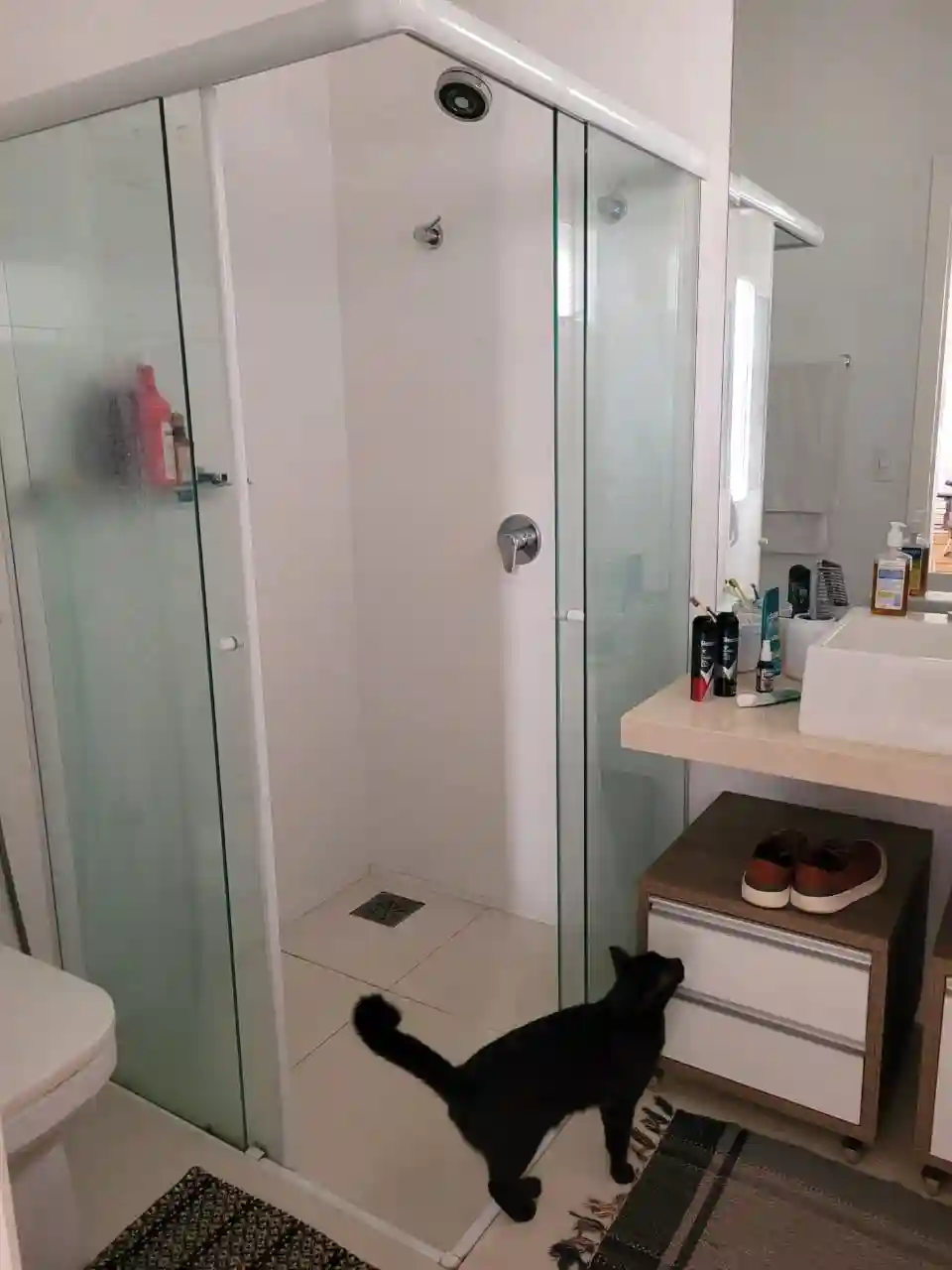 Casa de Condomínio com 4 quartos para aluguel, 214m² — foto 20 de 31