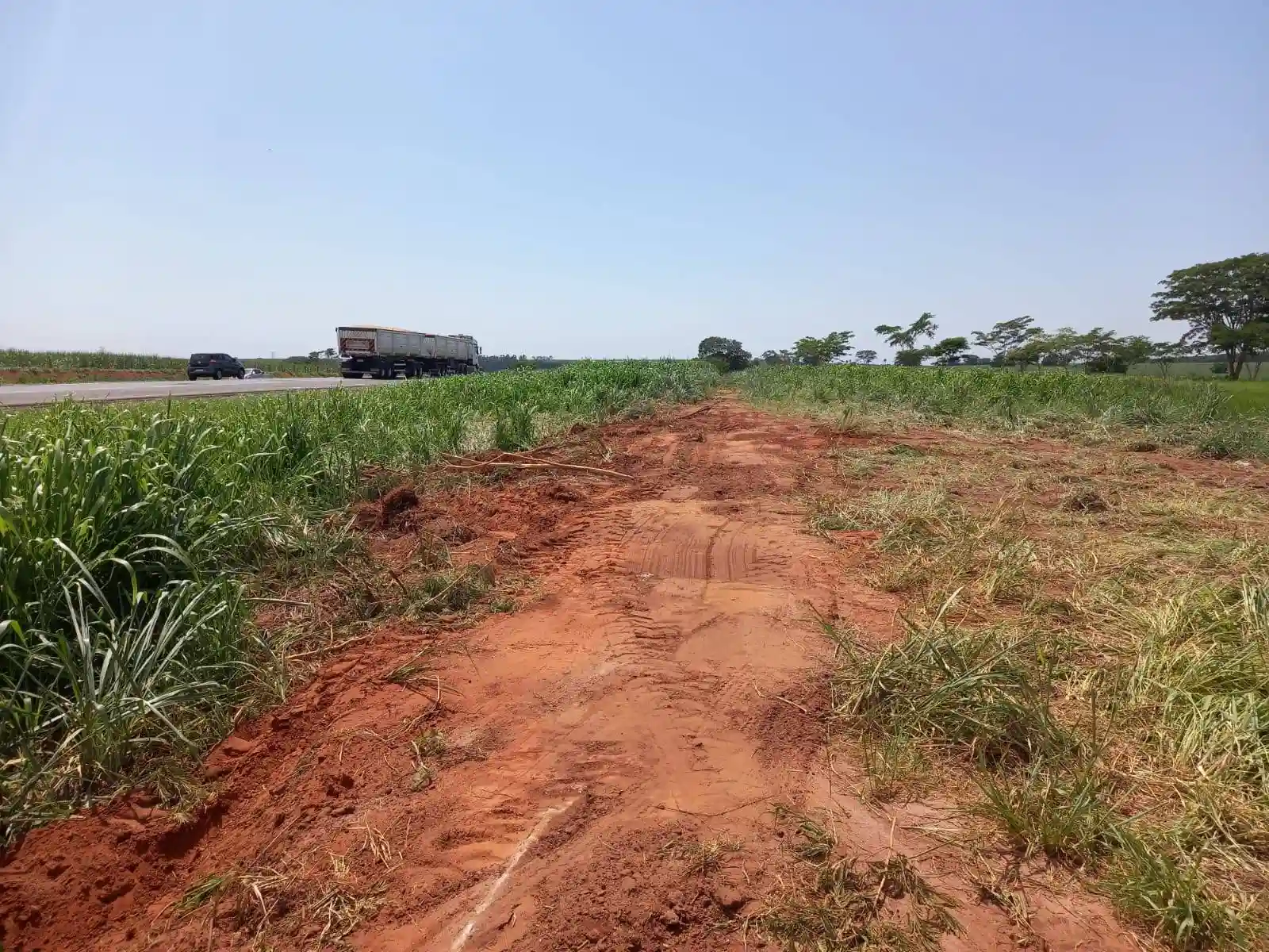Fazenda / Sítio / Chácara  à venda, 24200m² — foto 6 de 10