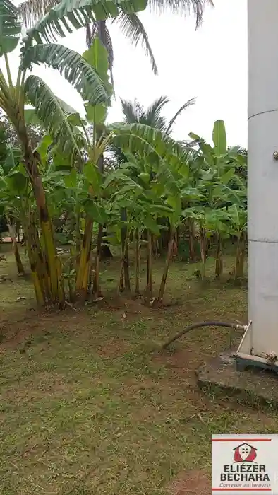 Fazenda / Sítio / Chácara à venda — foto 4 de 23