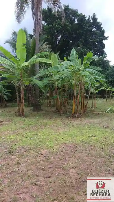 Fazenda / Sítio / Chácara à venda — foto 6 de 23