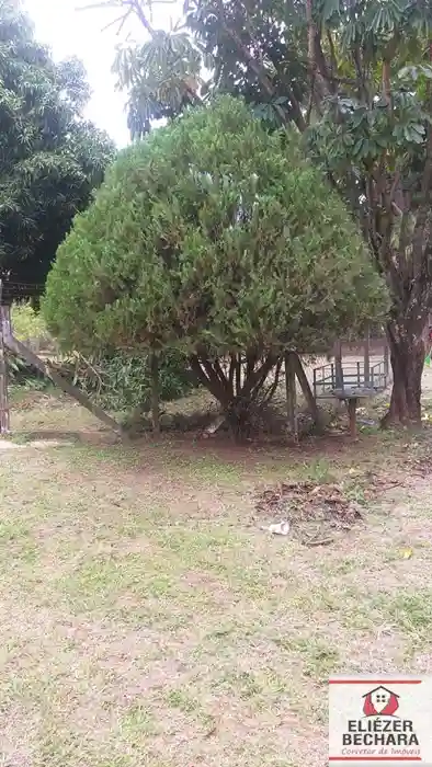 Fazenda / Sítio / Chácara à venda — foto 5 de 23