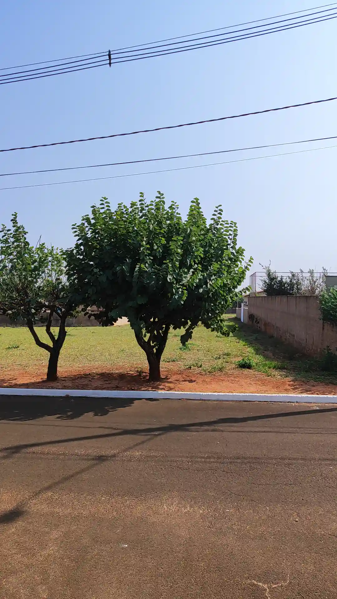 Terreno / Lote / Condomínio  à venda, 1000m² — foto 3 de 7